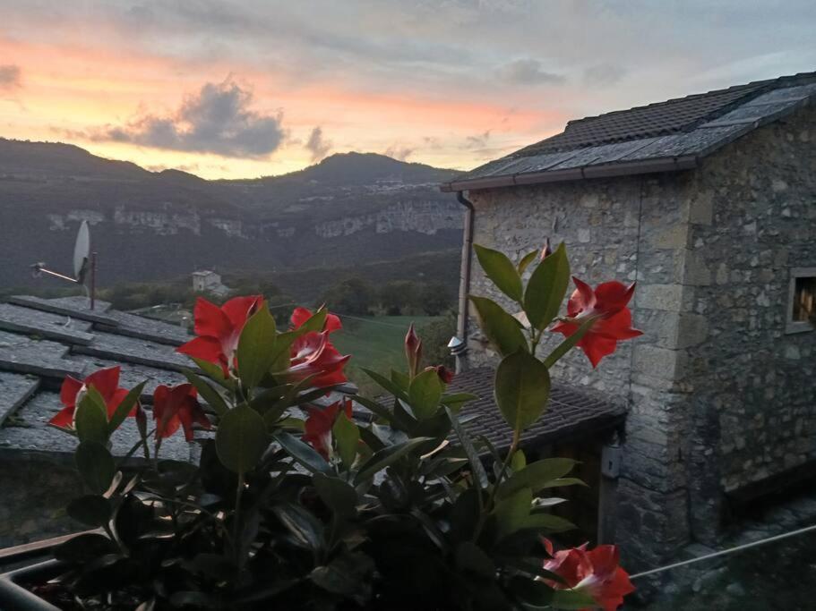 Casa Lia Homestay Cascine