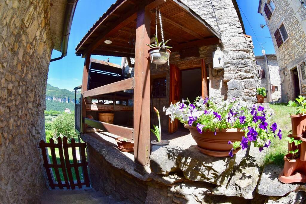 Casa Lia * Cascine