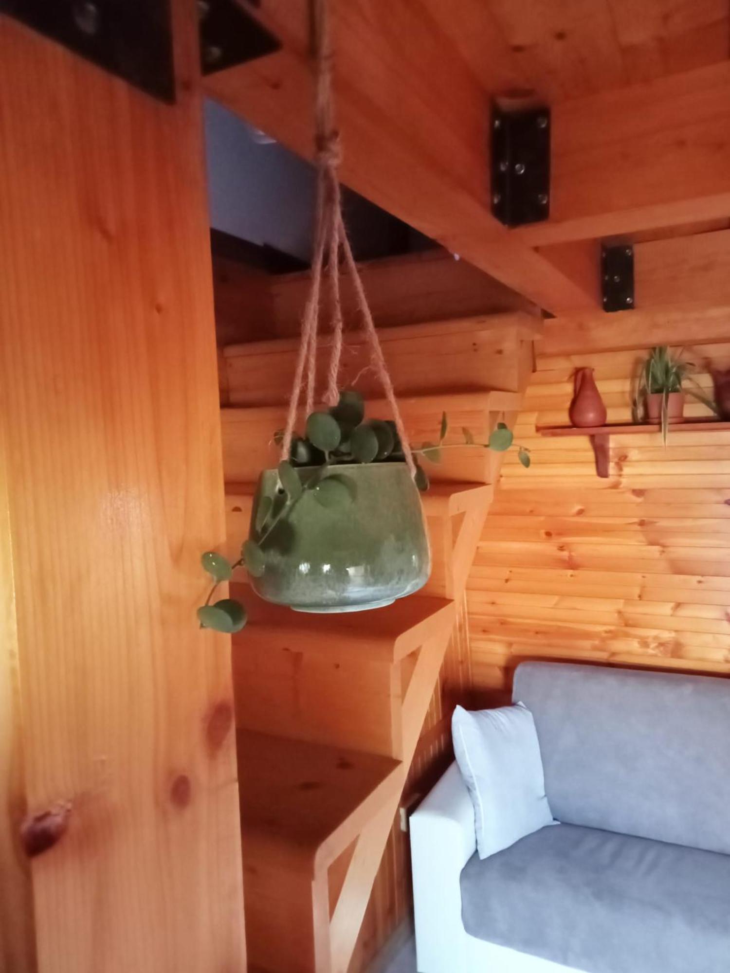 Homestay Casa Lia Cascine